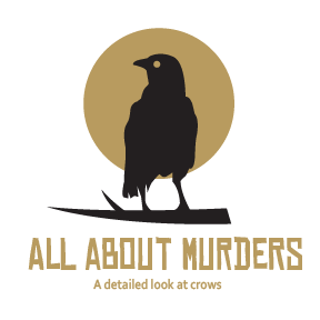 All About Murders: A Detailed Look at Crows